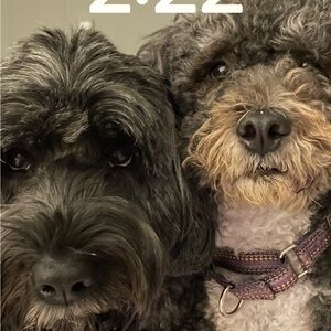 Meet your Posher, Heidi